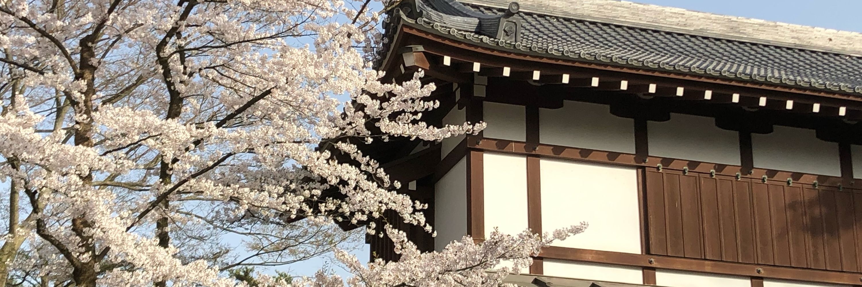 タオイオ