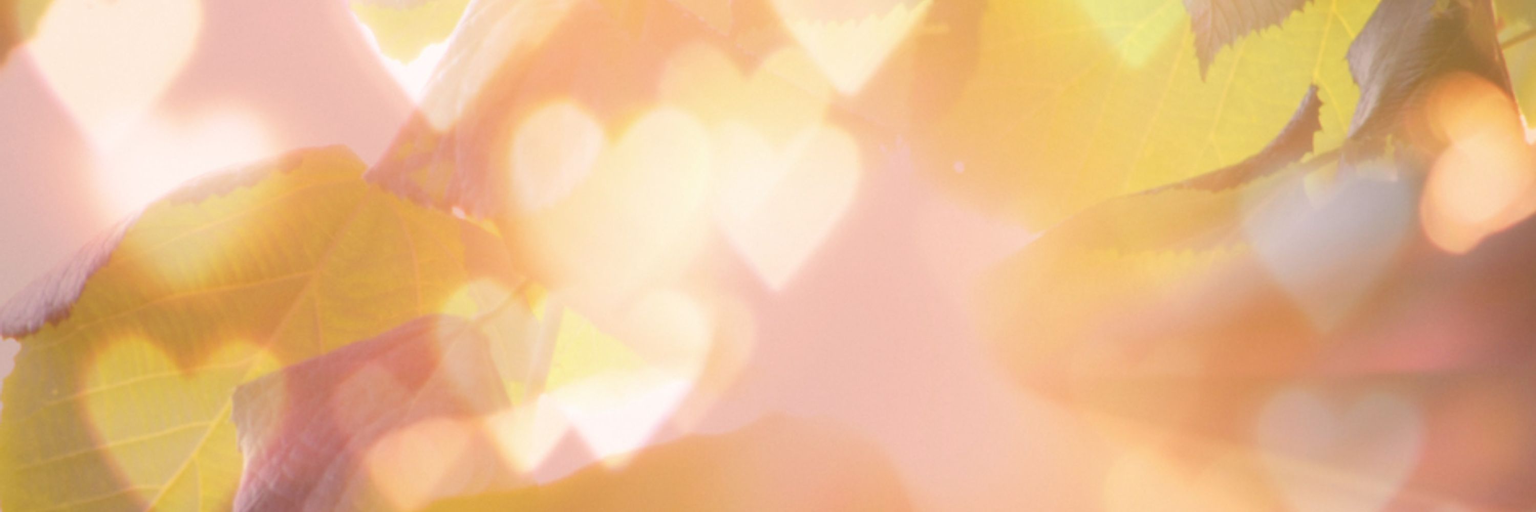 Solara Solstice