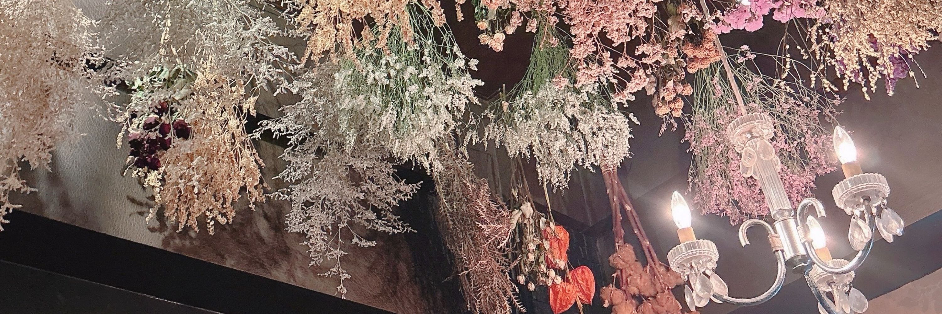 ひより🐣
