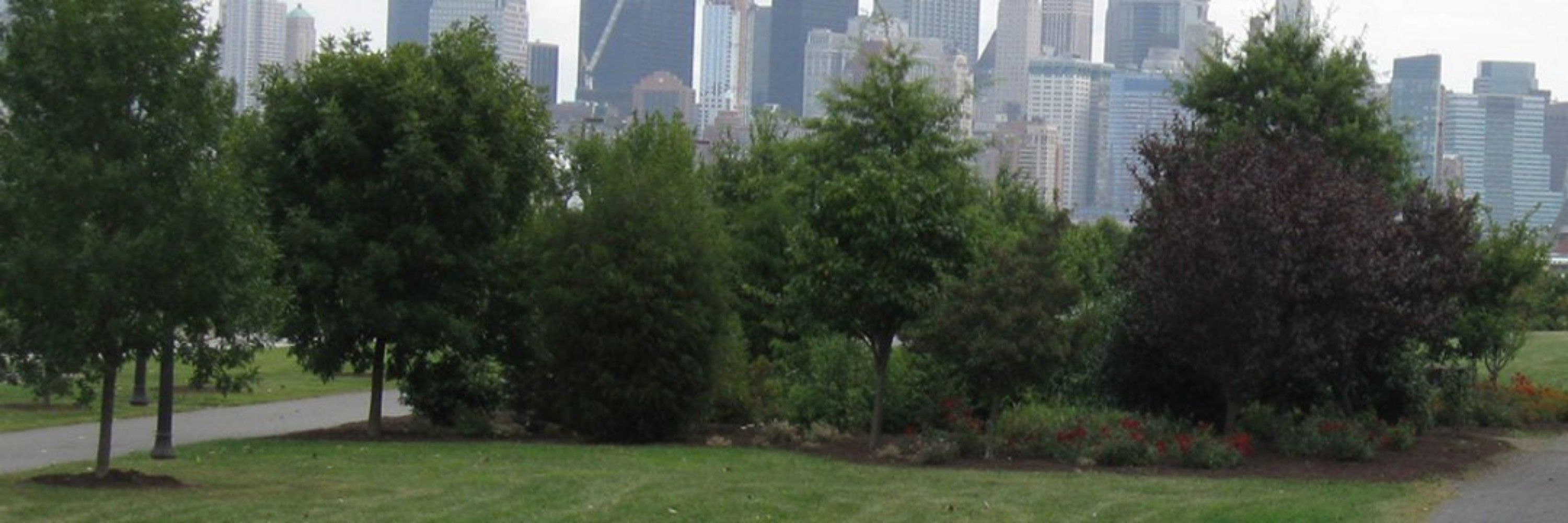 NJ Tree Foundation 