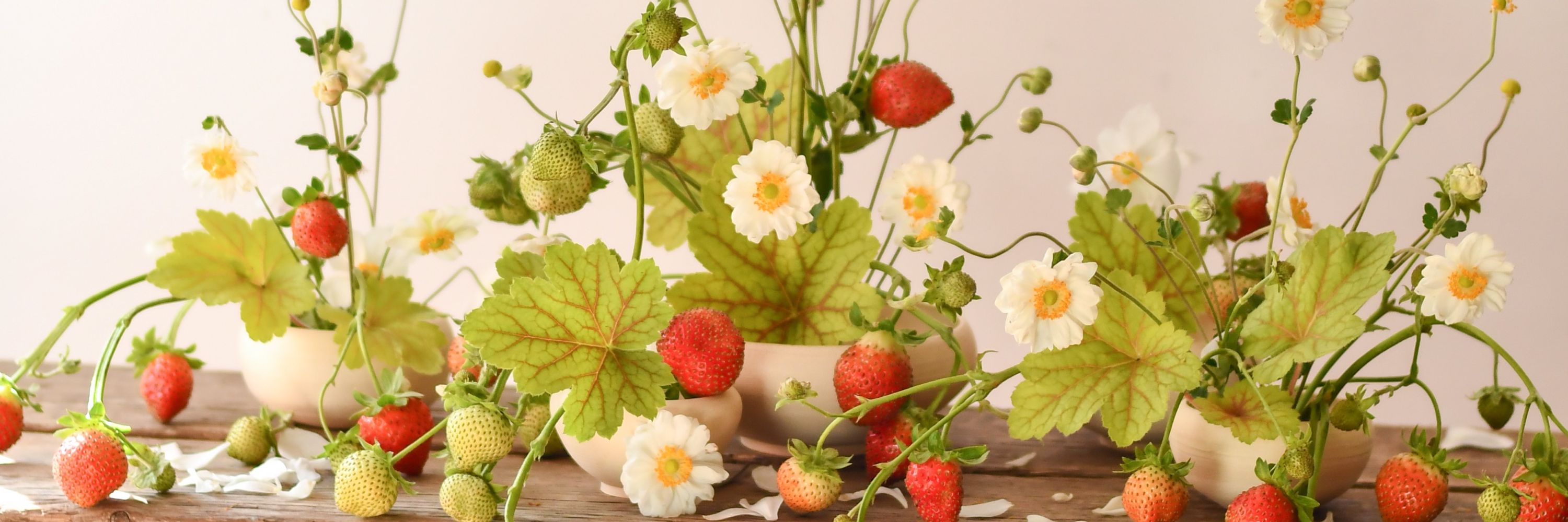 Marc Sardi Floral Design