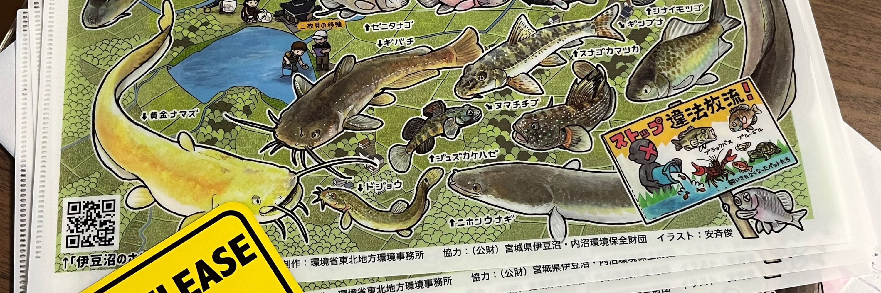安斉俊