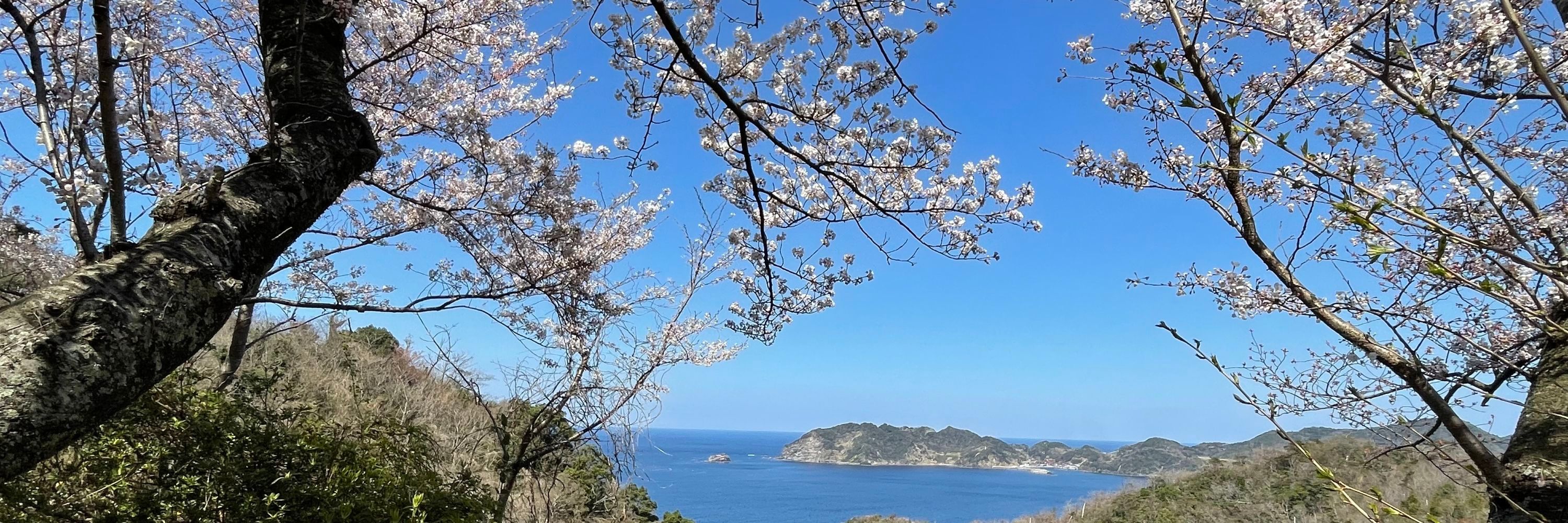 いぶきさん