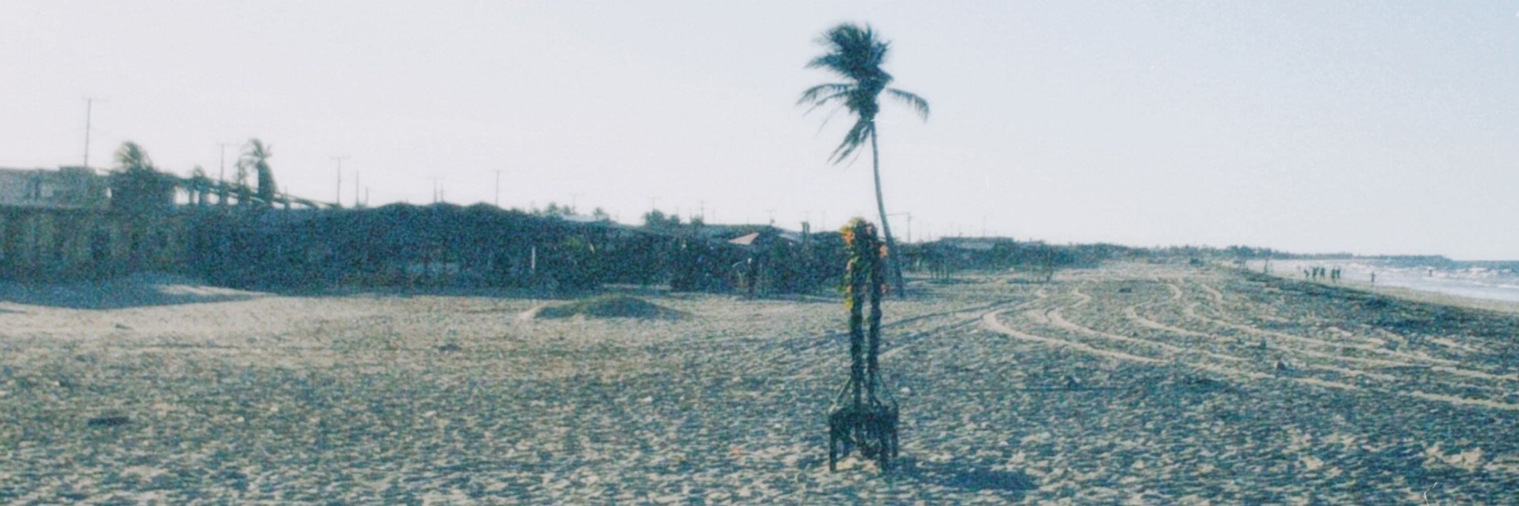 nayaner