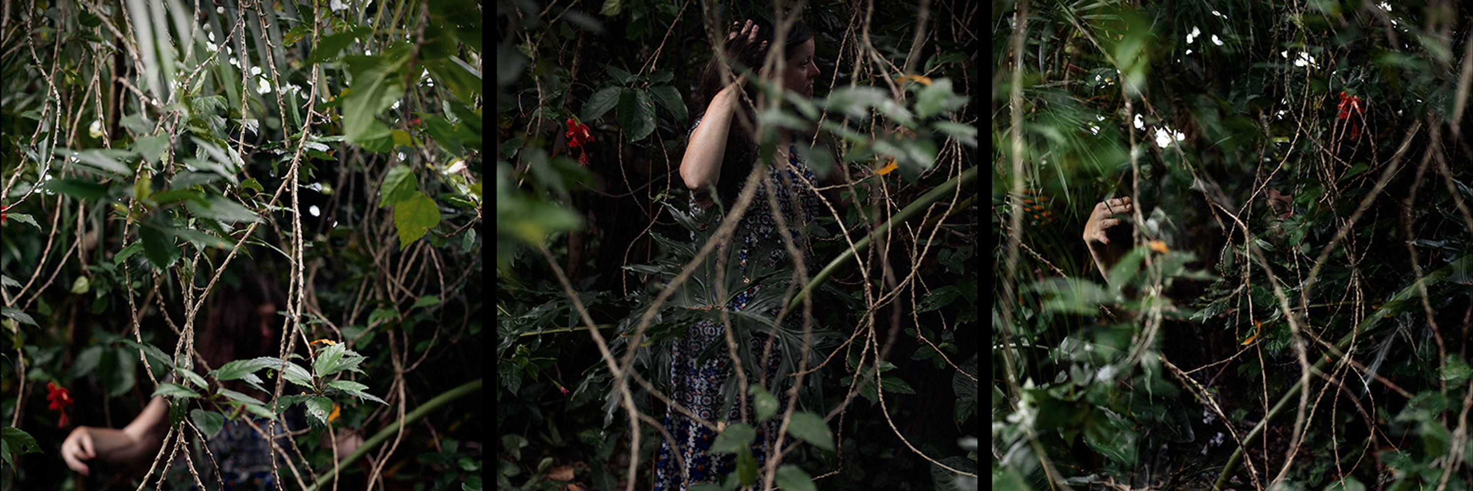 Julie Sundberg