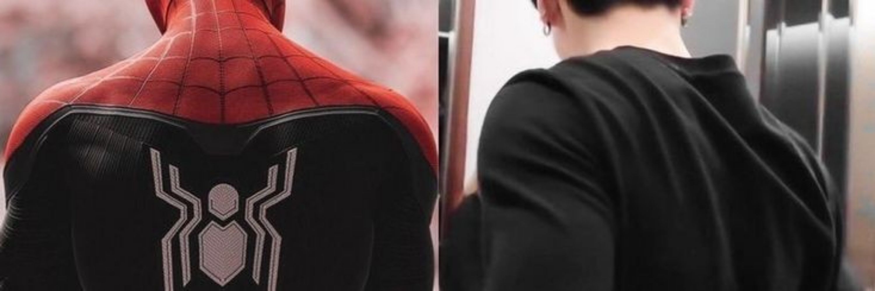 Lilico  ' 🕸️ .