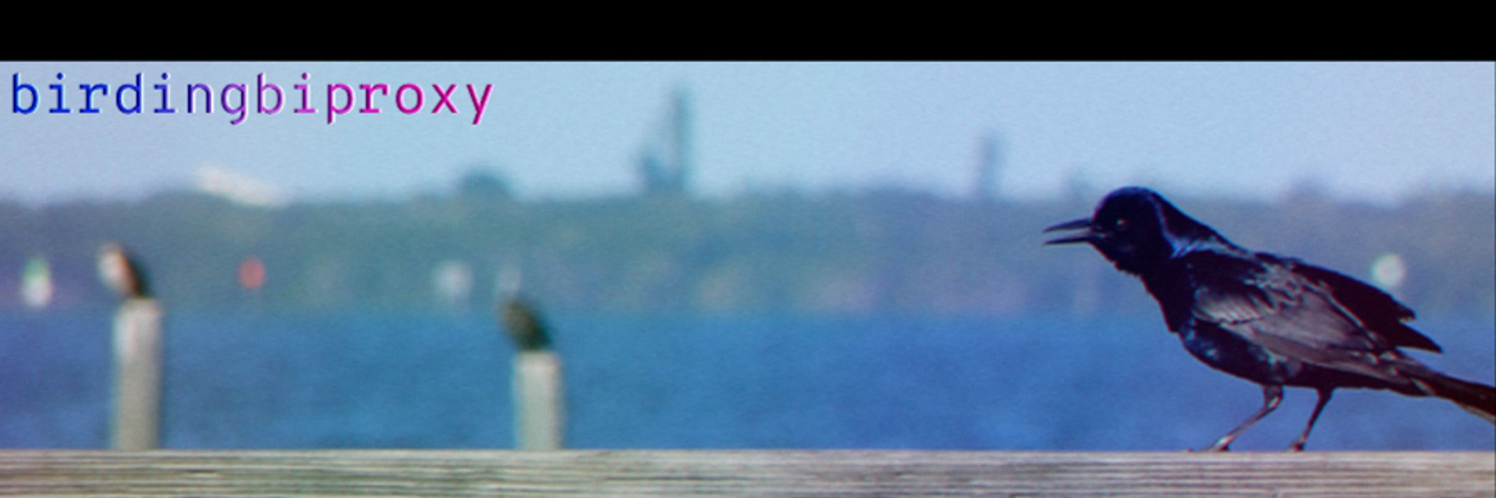 birdingbiproxy