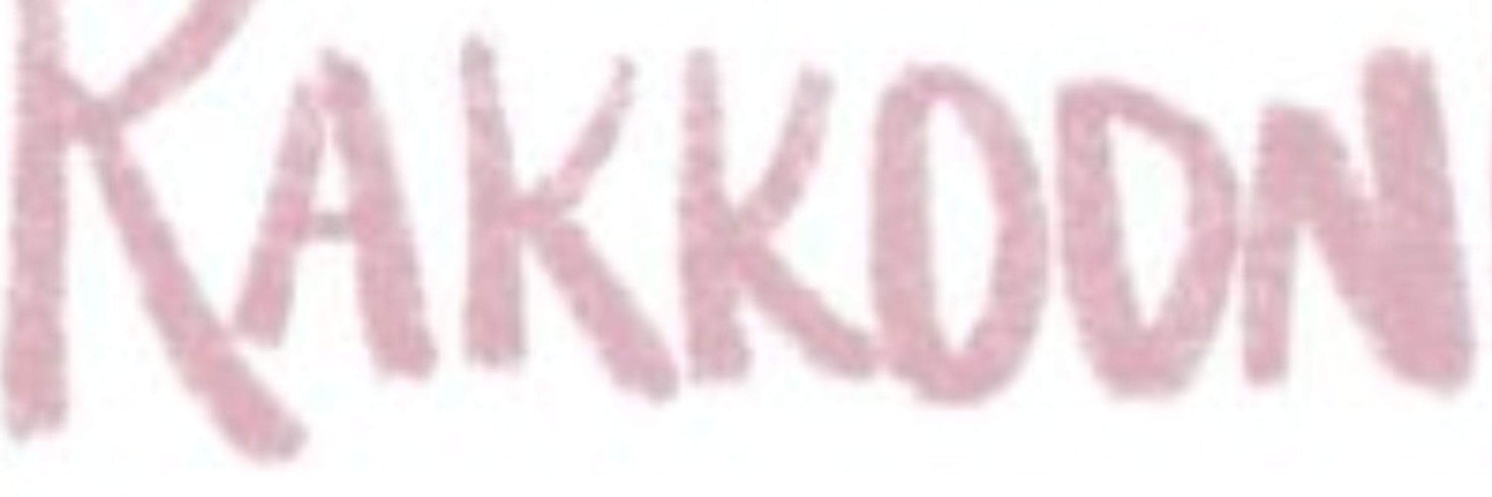 Rakkoon