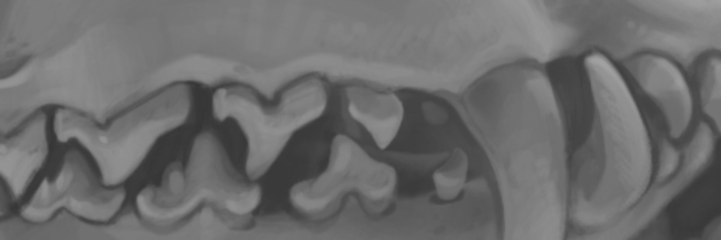🔞𝕊ℙ𝕀ℂ𝕐ℕ𝕆𝕆𝕋🔞