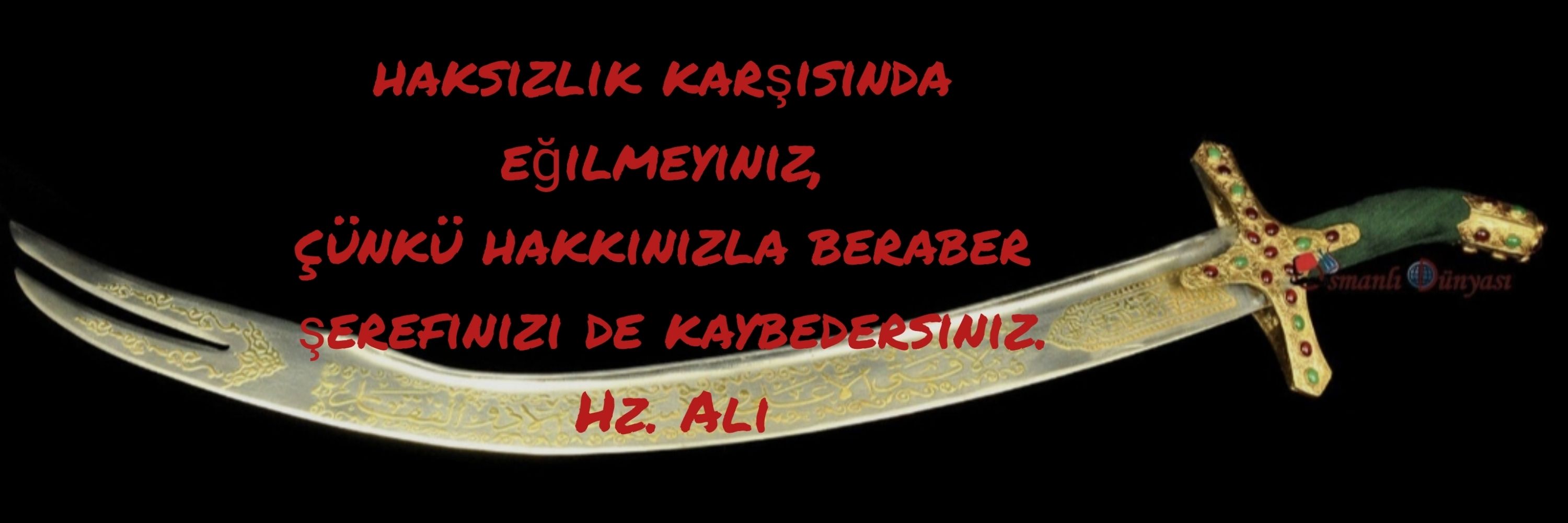 Talip Demircan