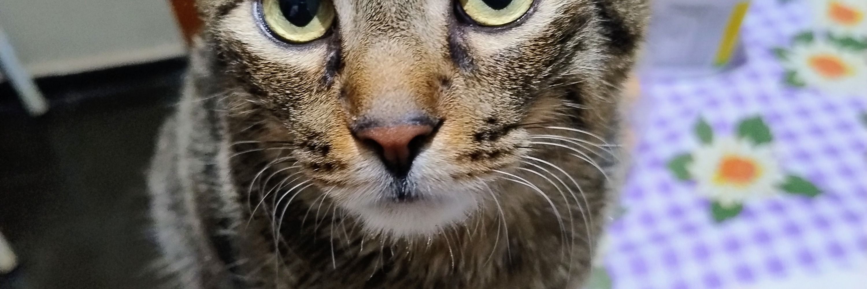 Ricardo