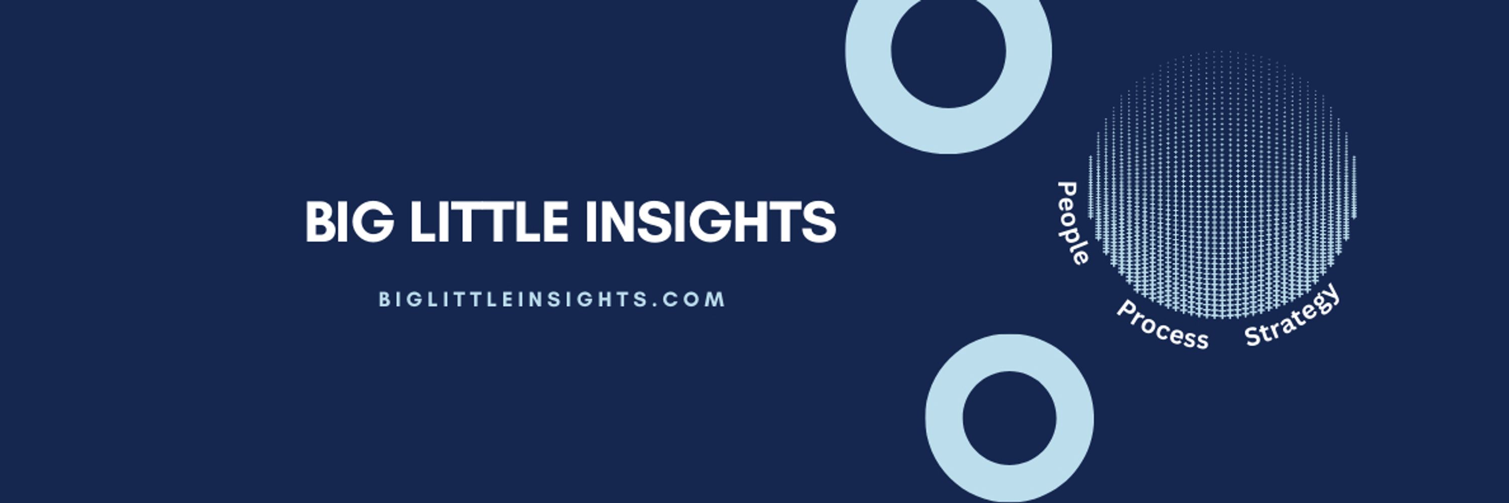 Big Little Insights