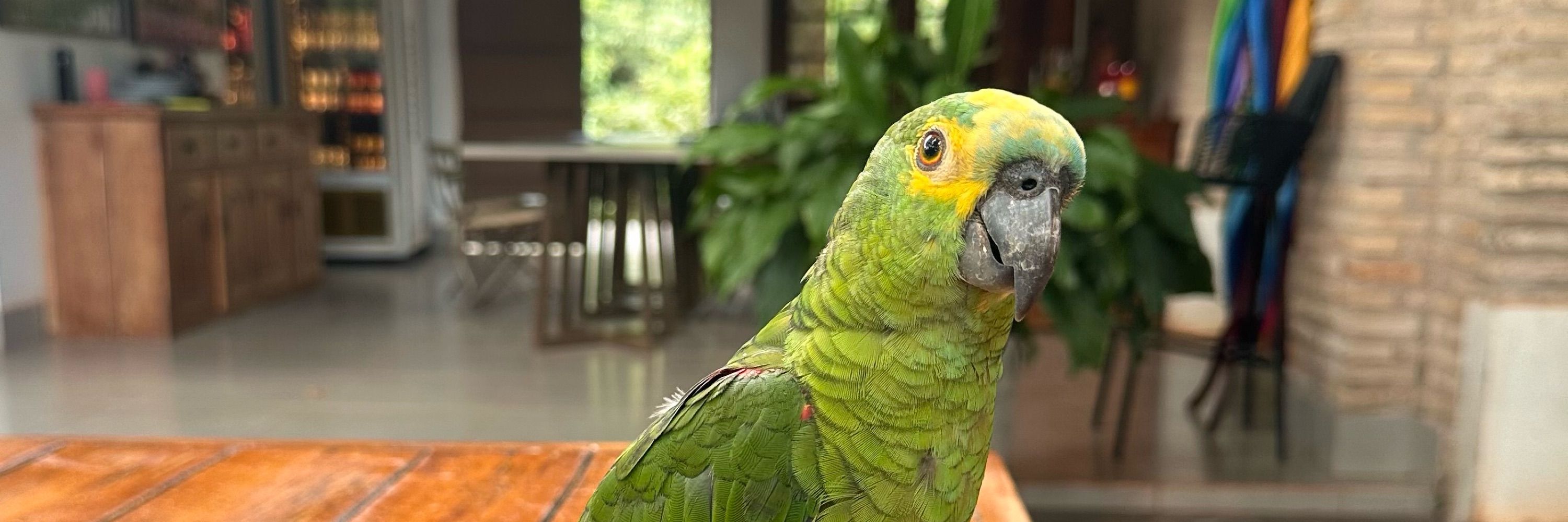 ina