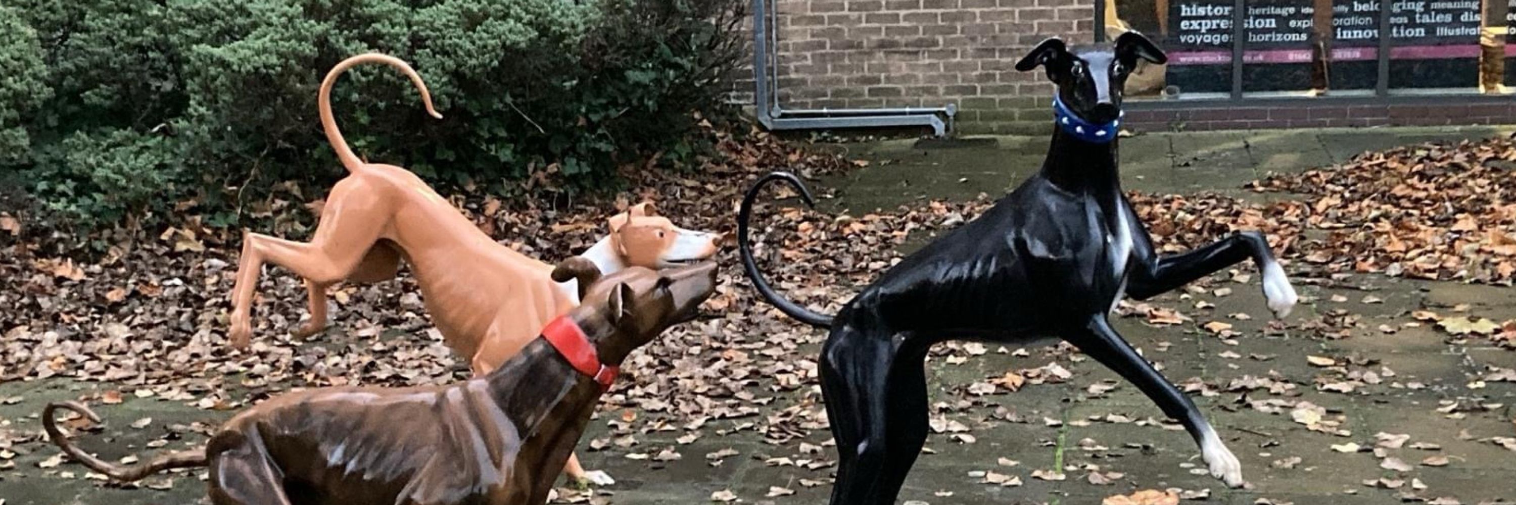 Greyhounds Going Home