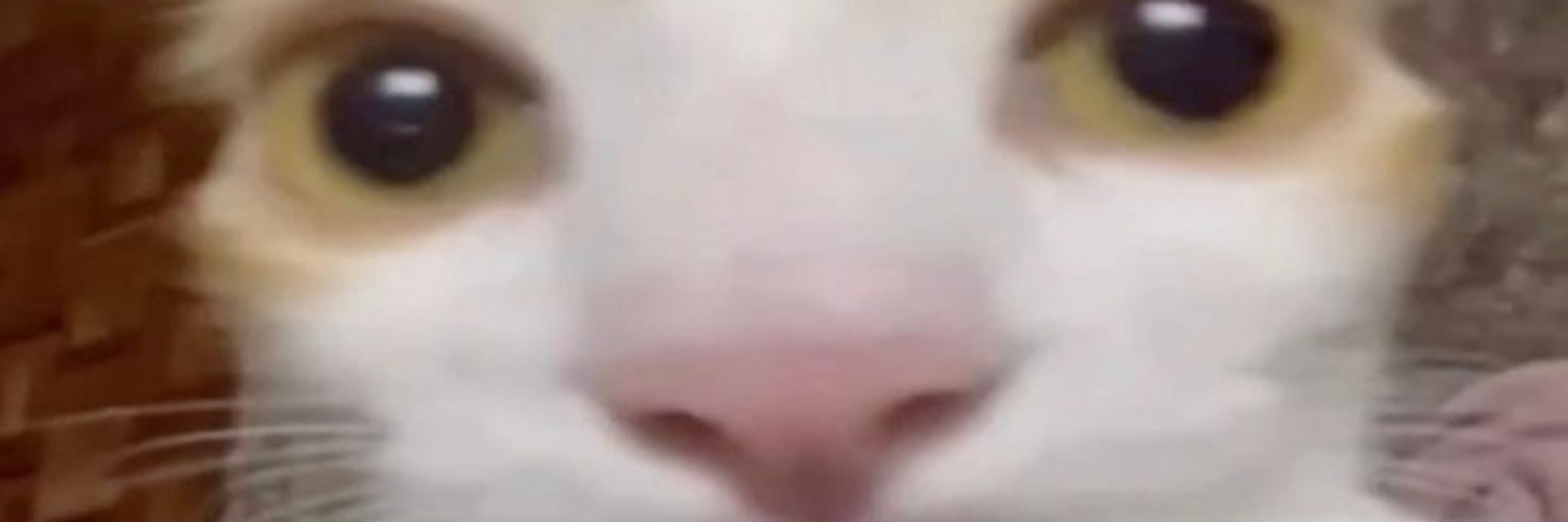 Kisa