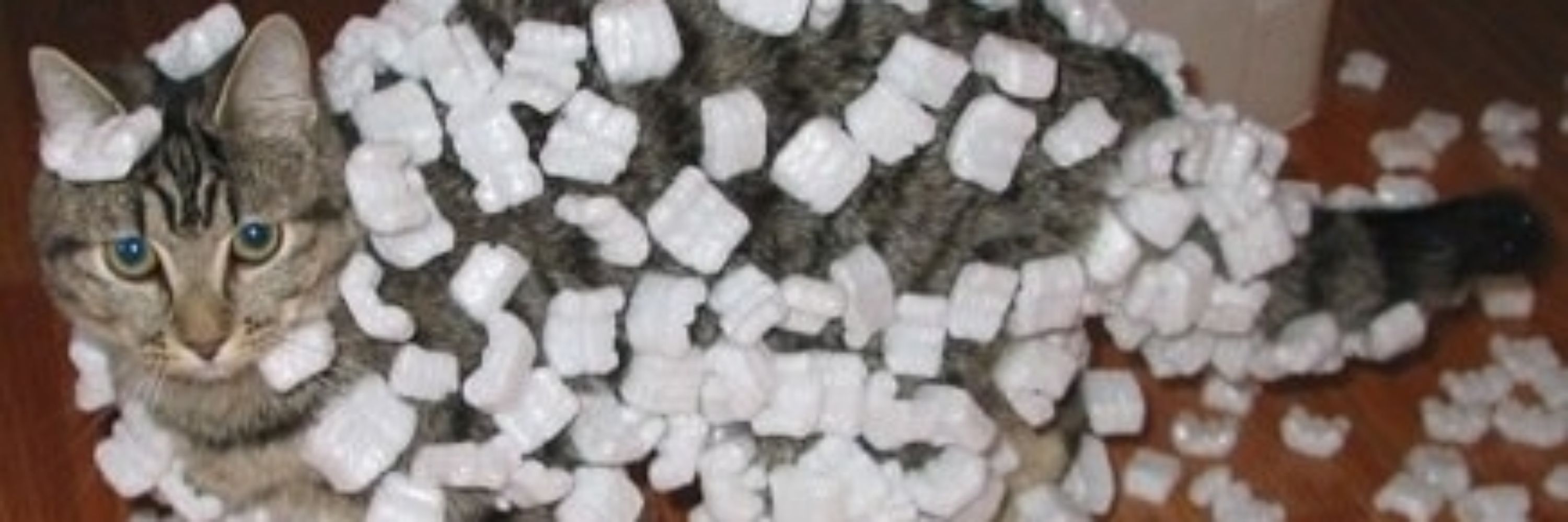 MirukuKefir