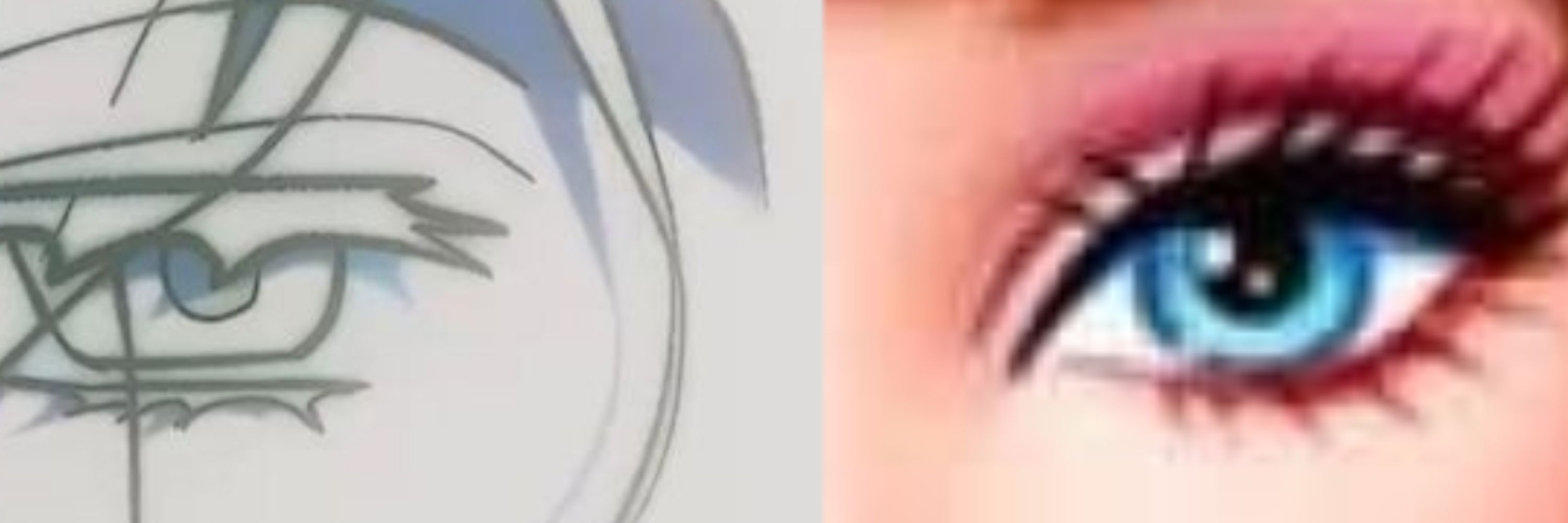 NARI/SA/OR