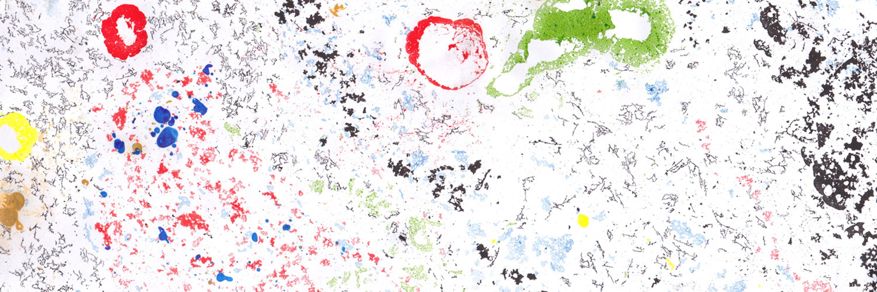 Digital Ecologies
