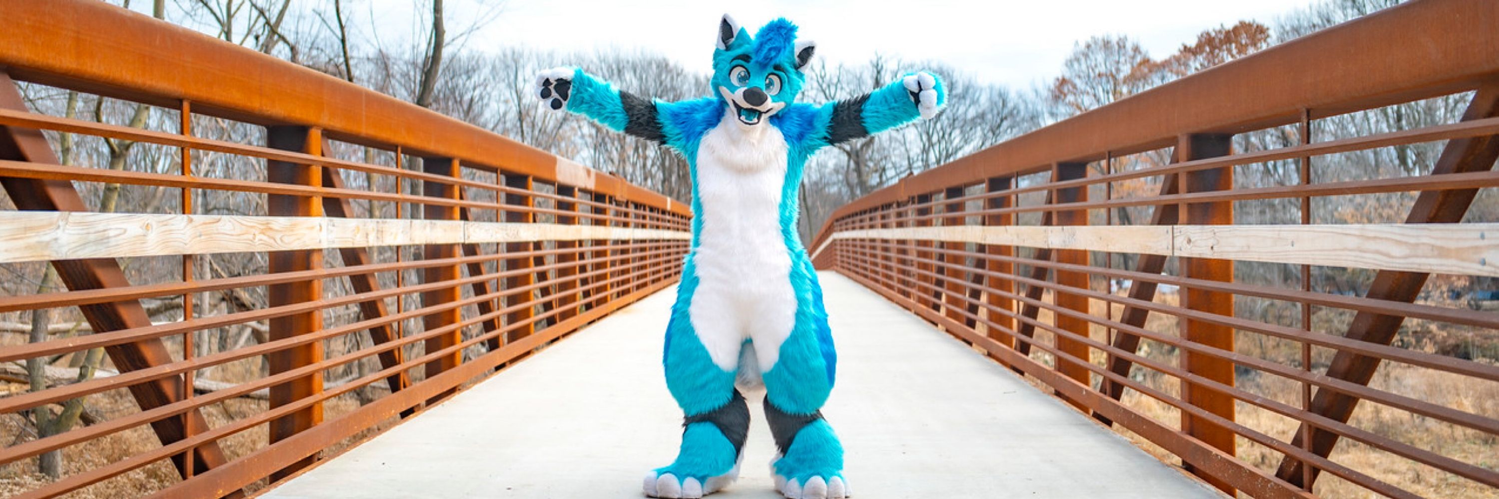Night the Fox!