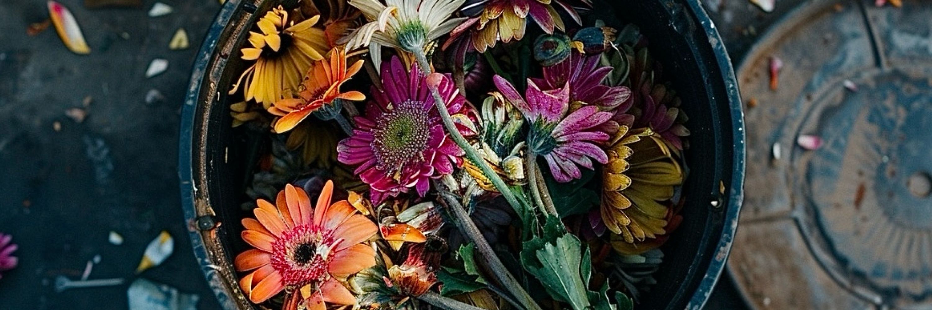 Decay.:to:.Bloom Poetry