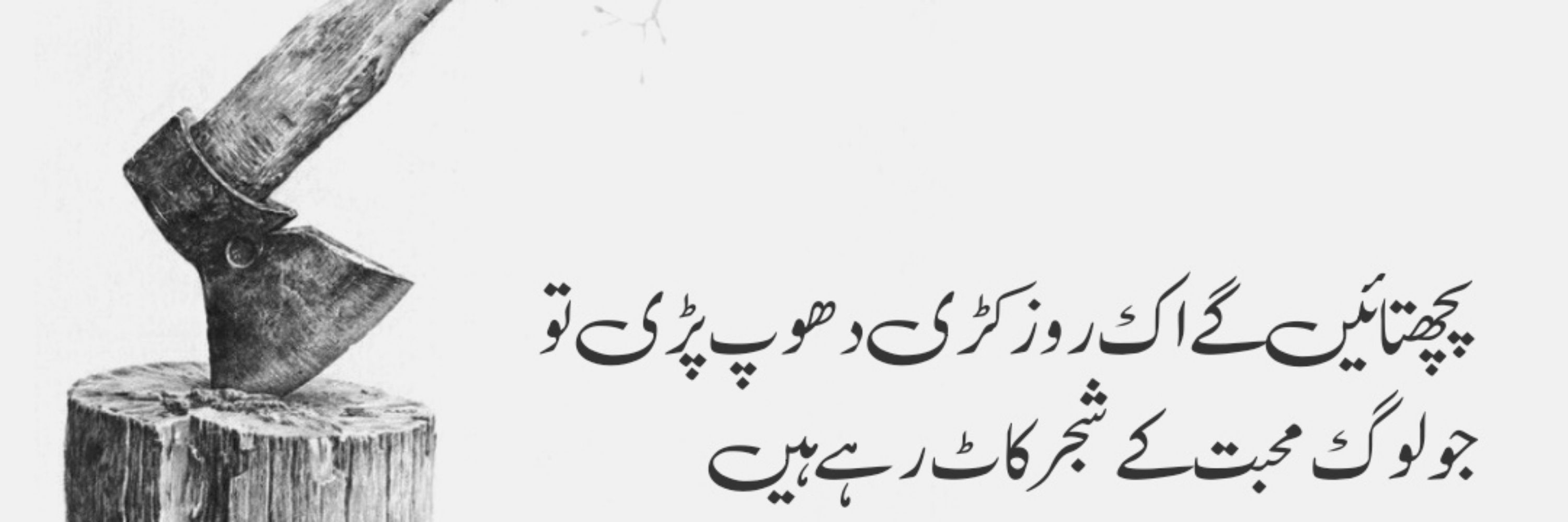 Zafar Hyder