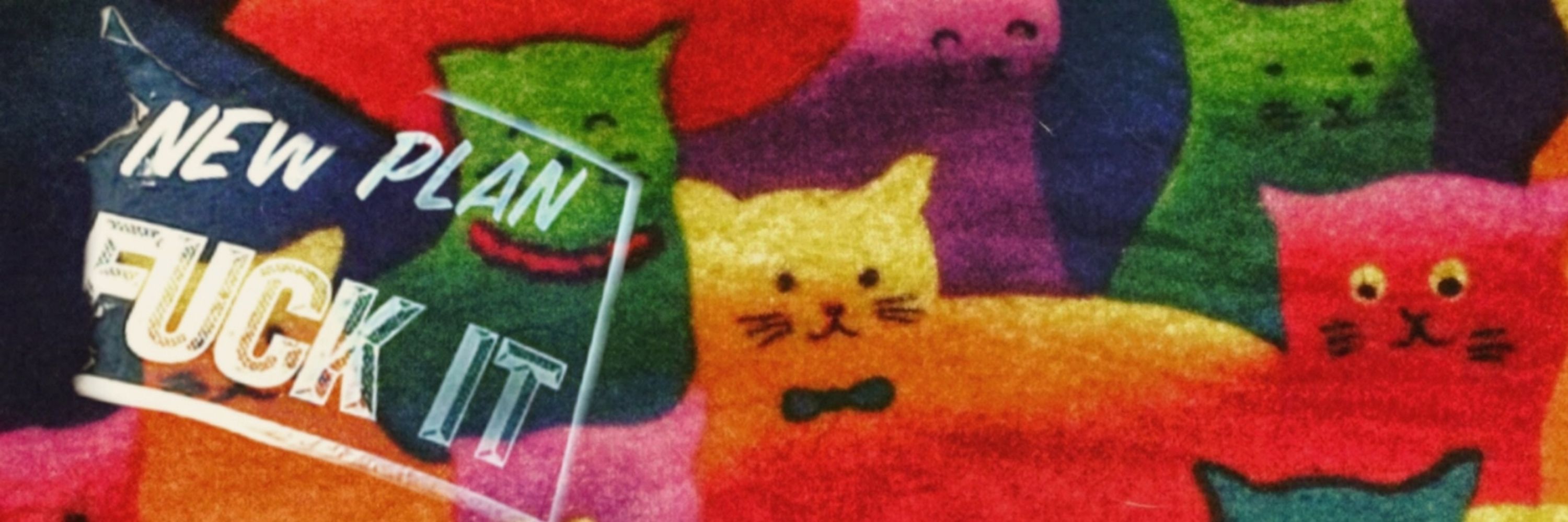 Q🐈‍⬛✨️
