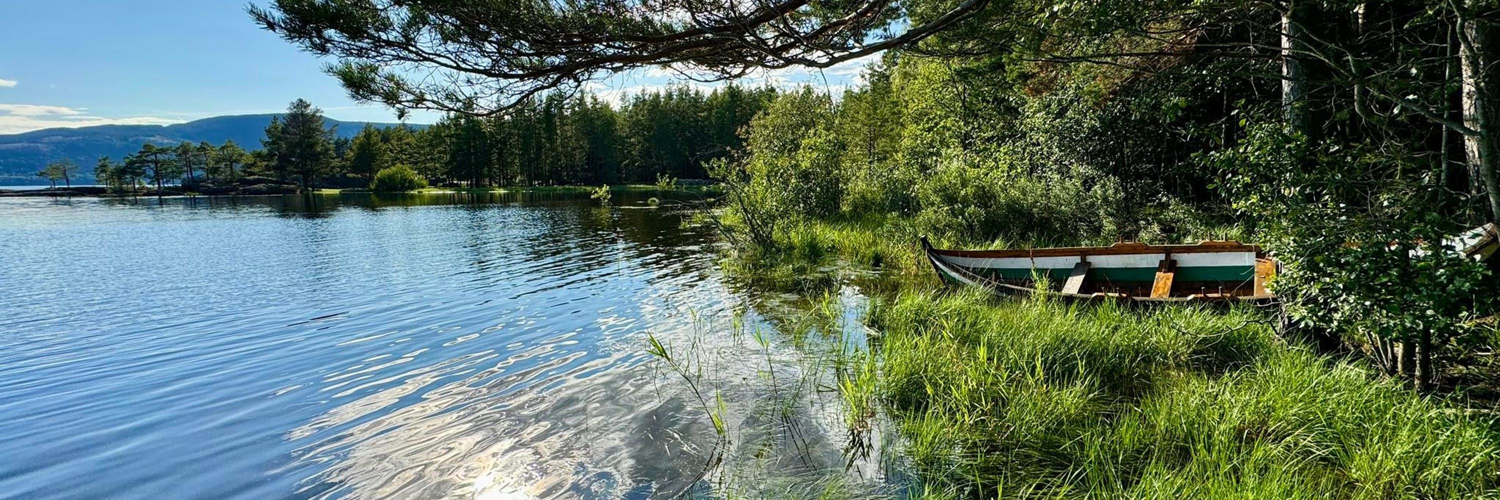 Hein Rikar Steen Michaelsen