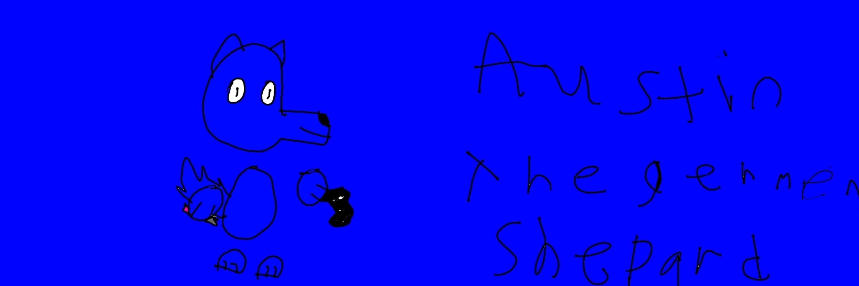 Austin the German shepherd