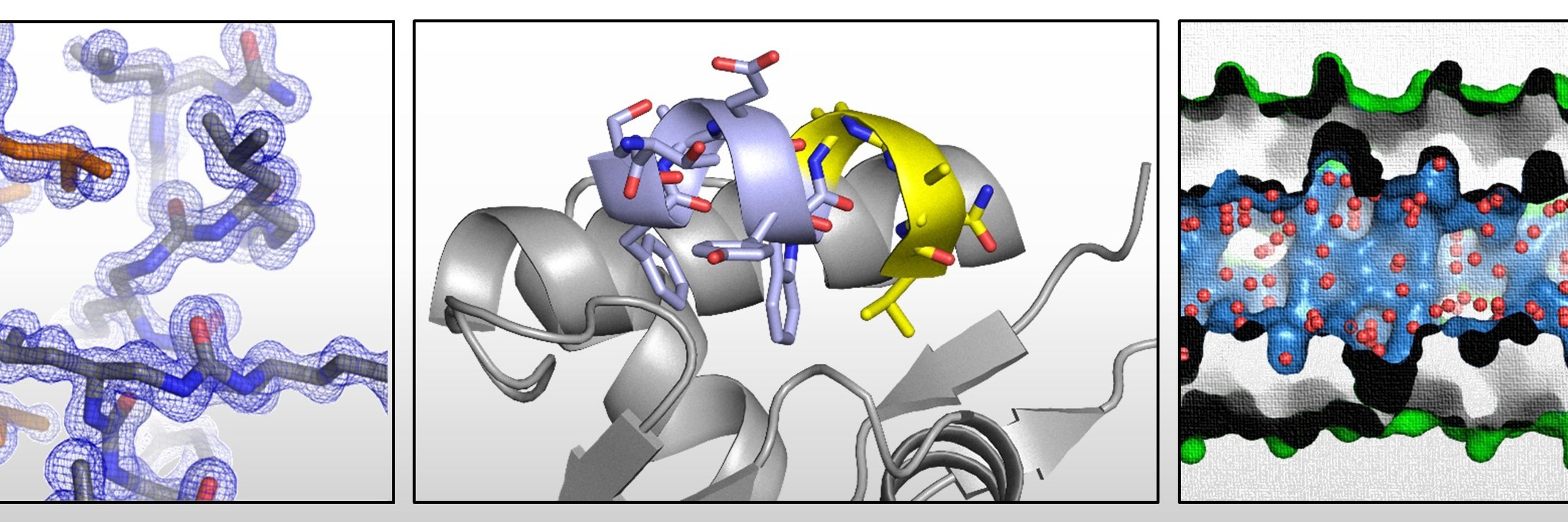 Guichard-Lab