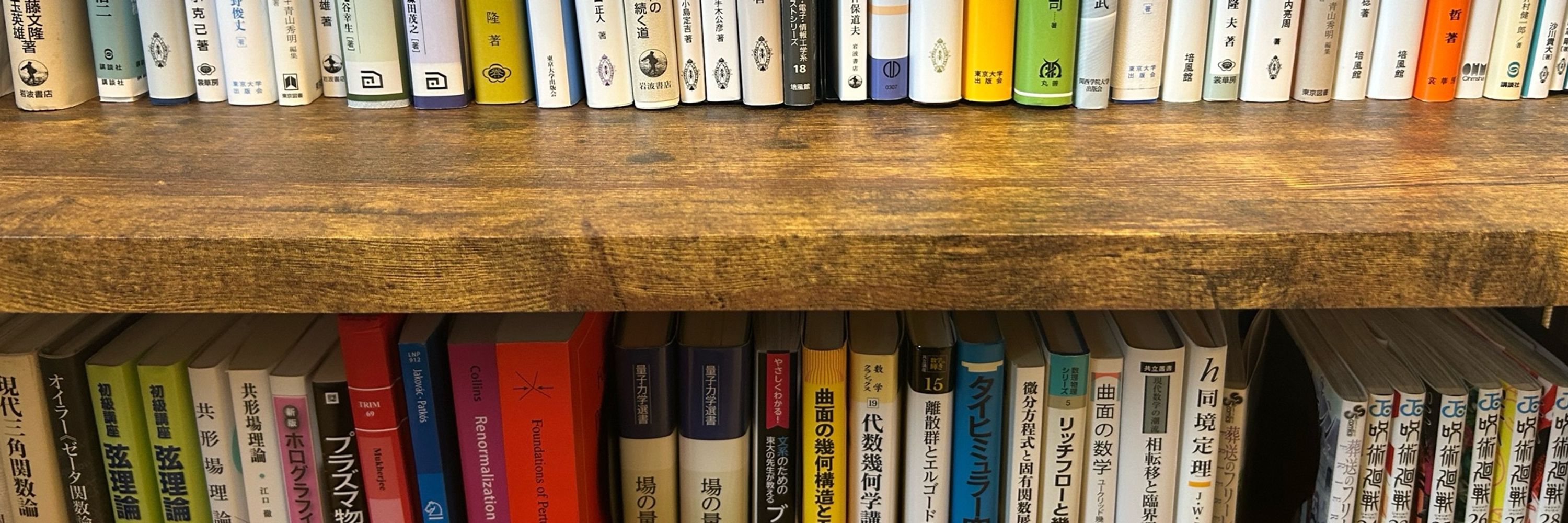 オイラーの猫