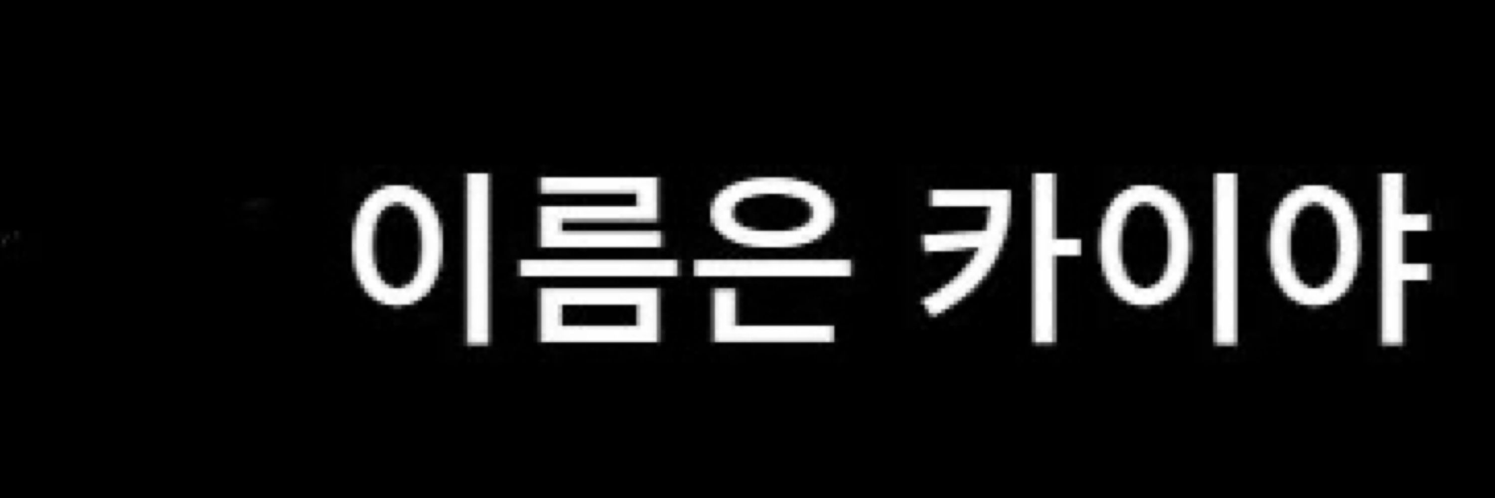 🎗️챠퍄