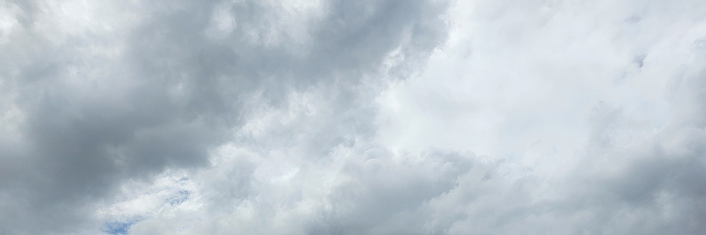 雷奧