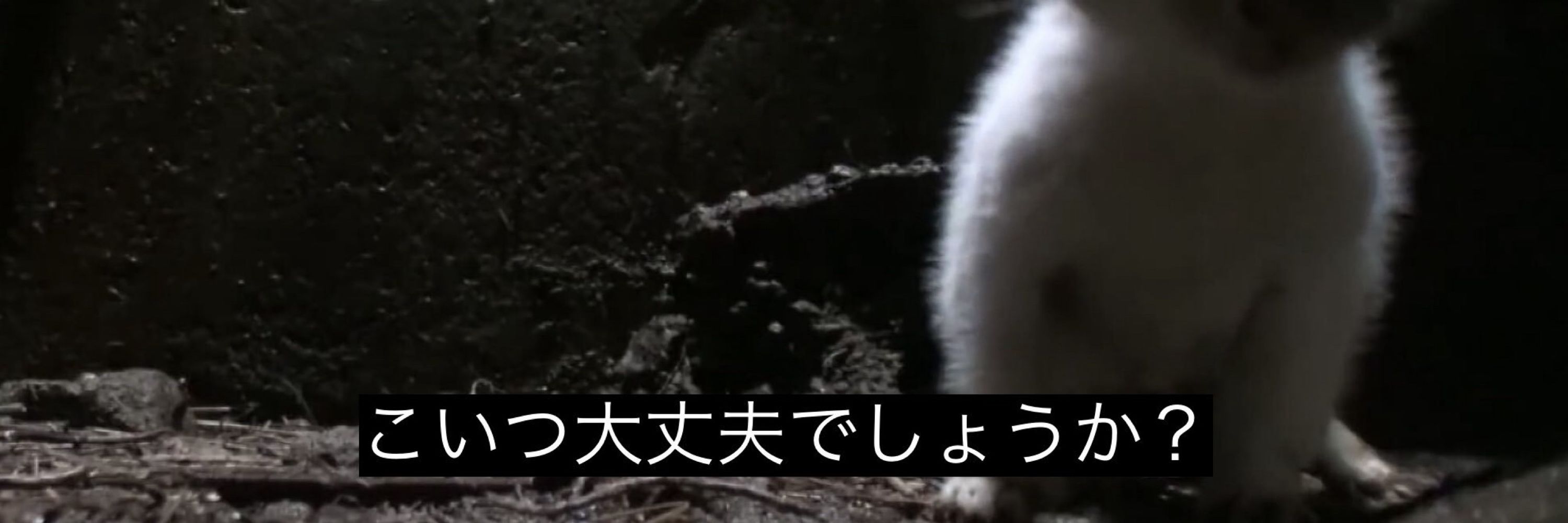 耐
