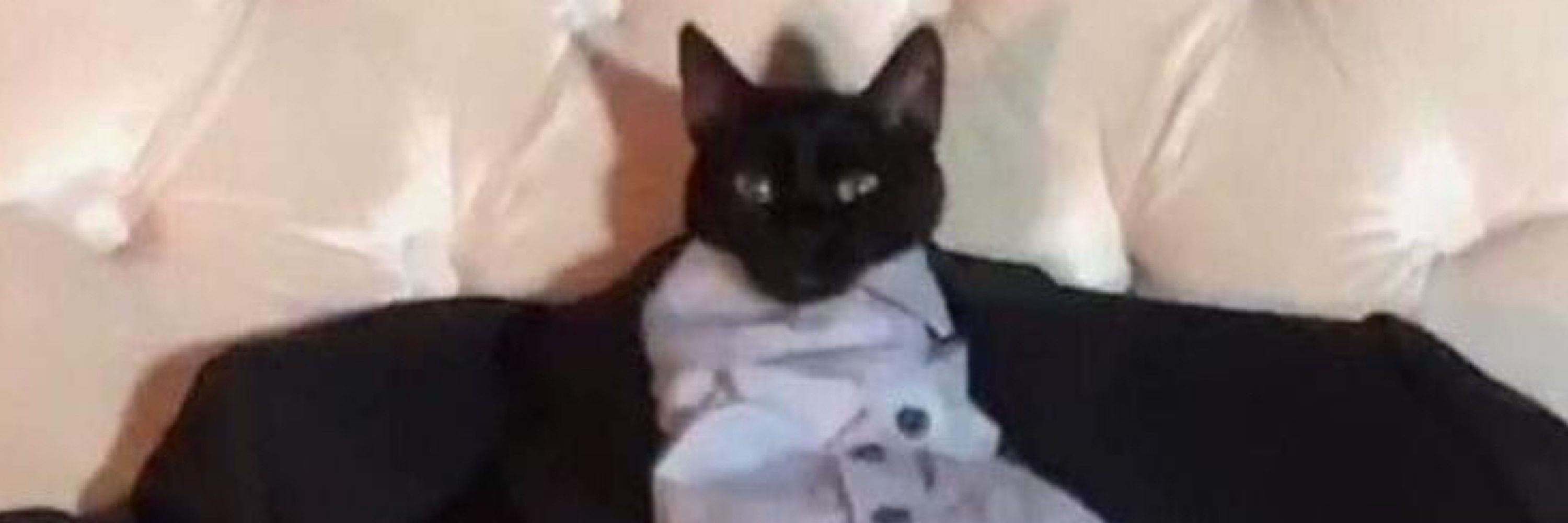 fat sajak