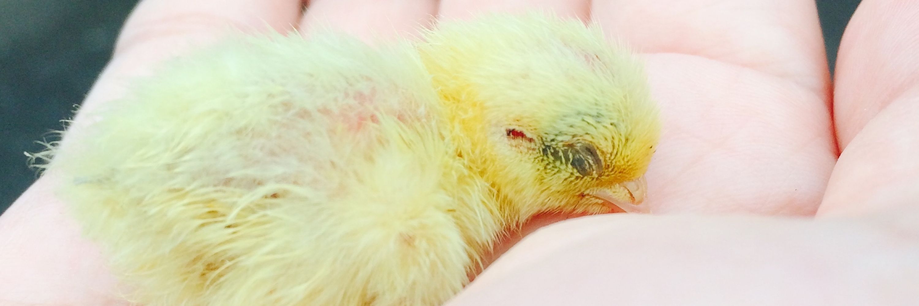 さとすん