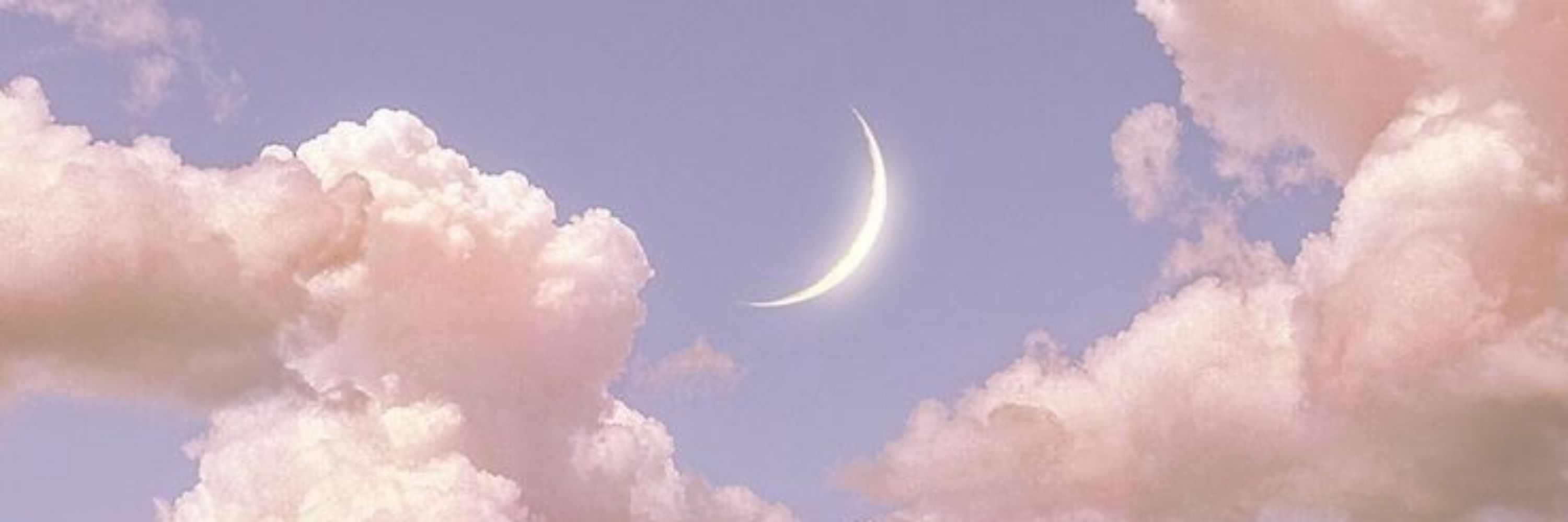 Dreamy Duck
