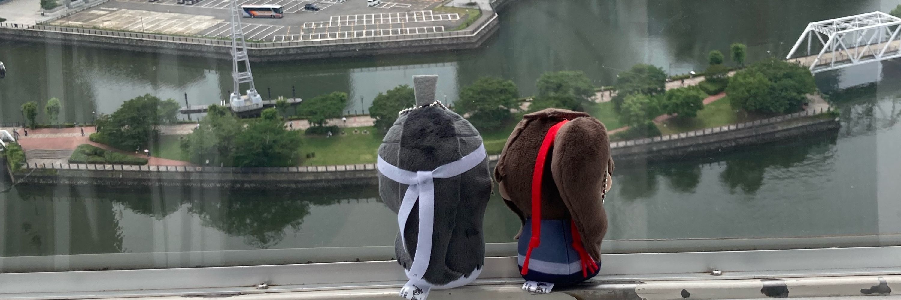 鶏皮