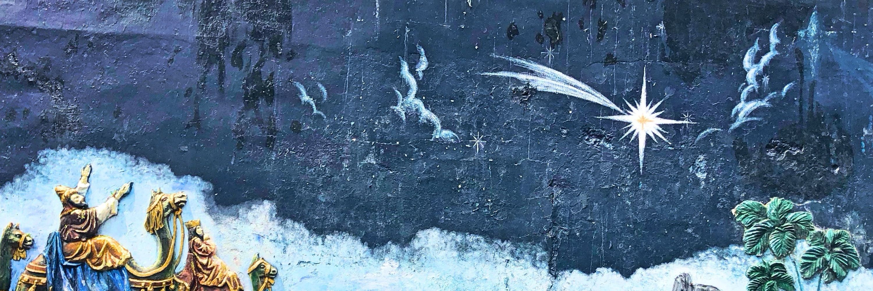 虎