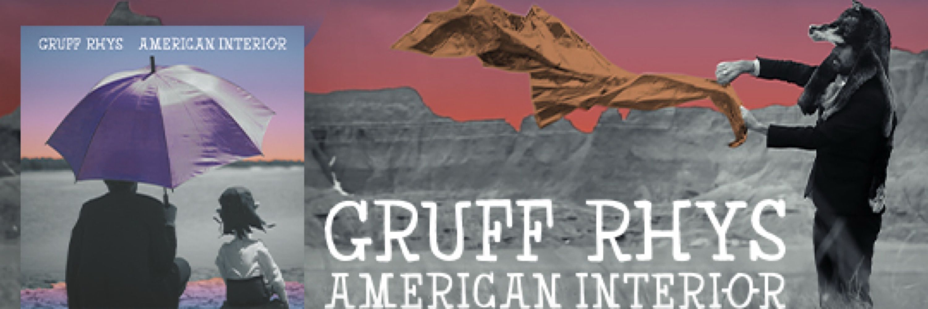 Gruff Rhys