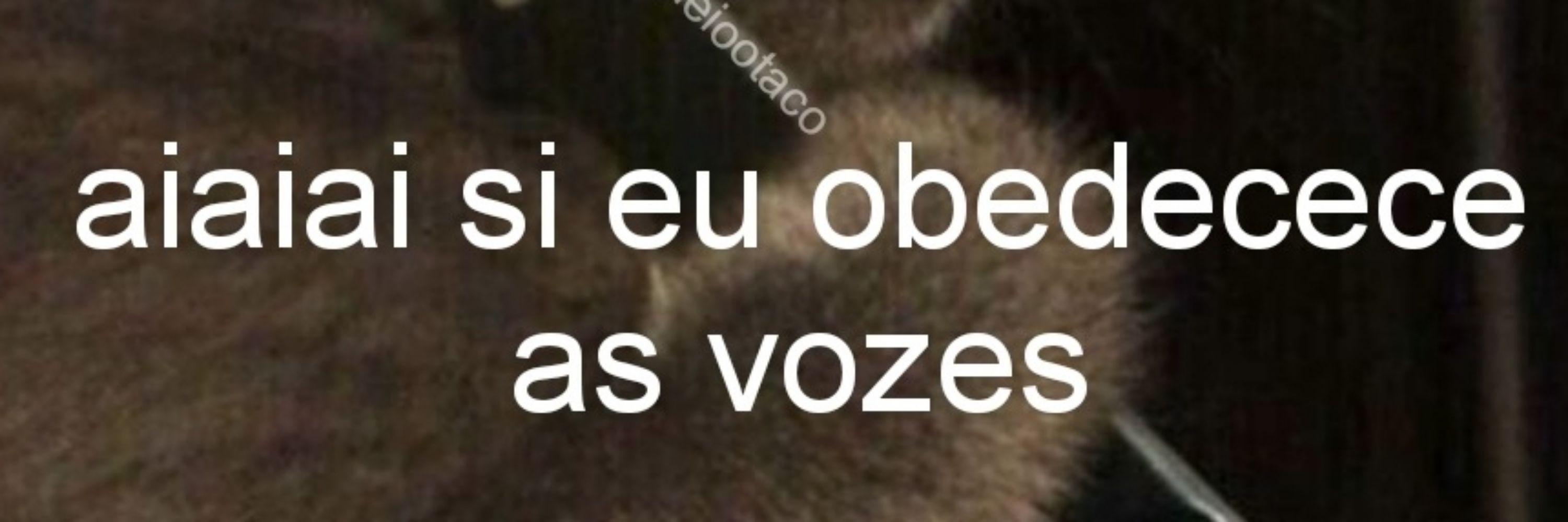 Negrão Ewé O