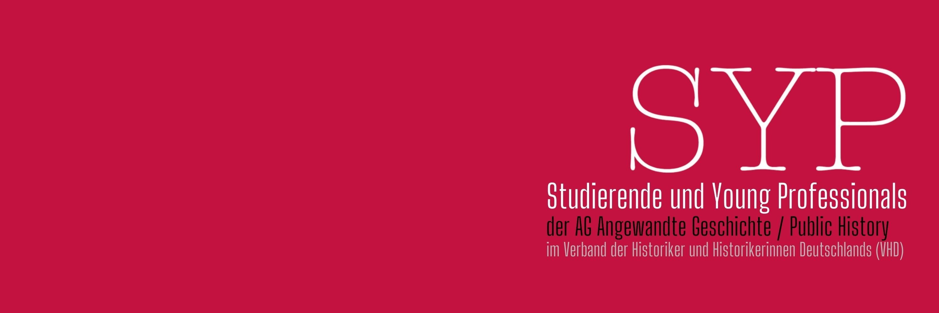 SYP in der AG Public History 