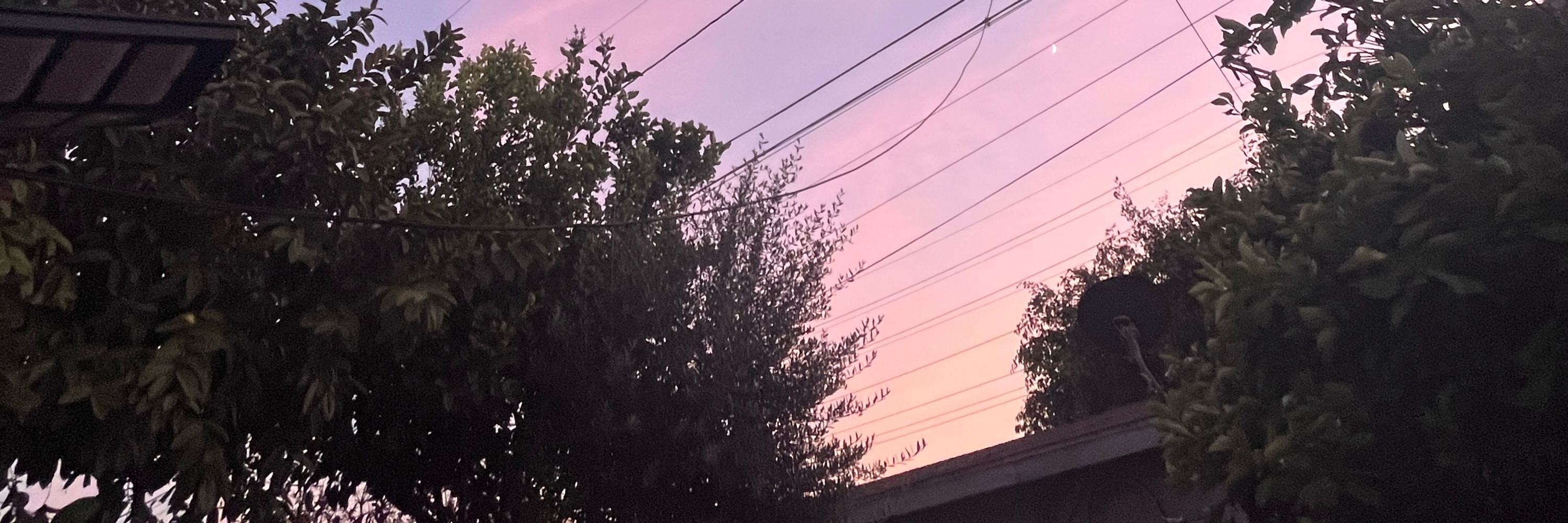 Eden 🎀