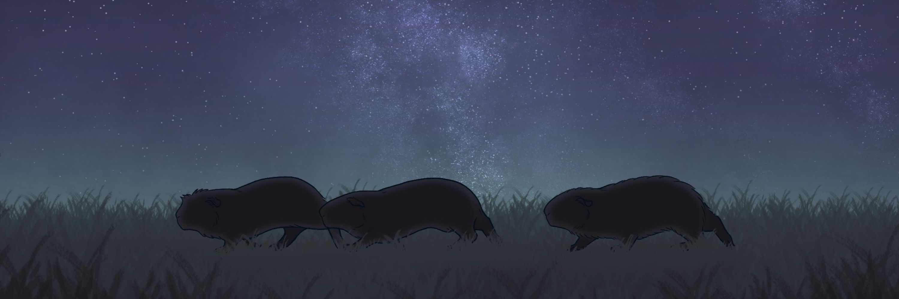 Cavy
