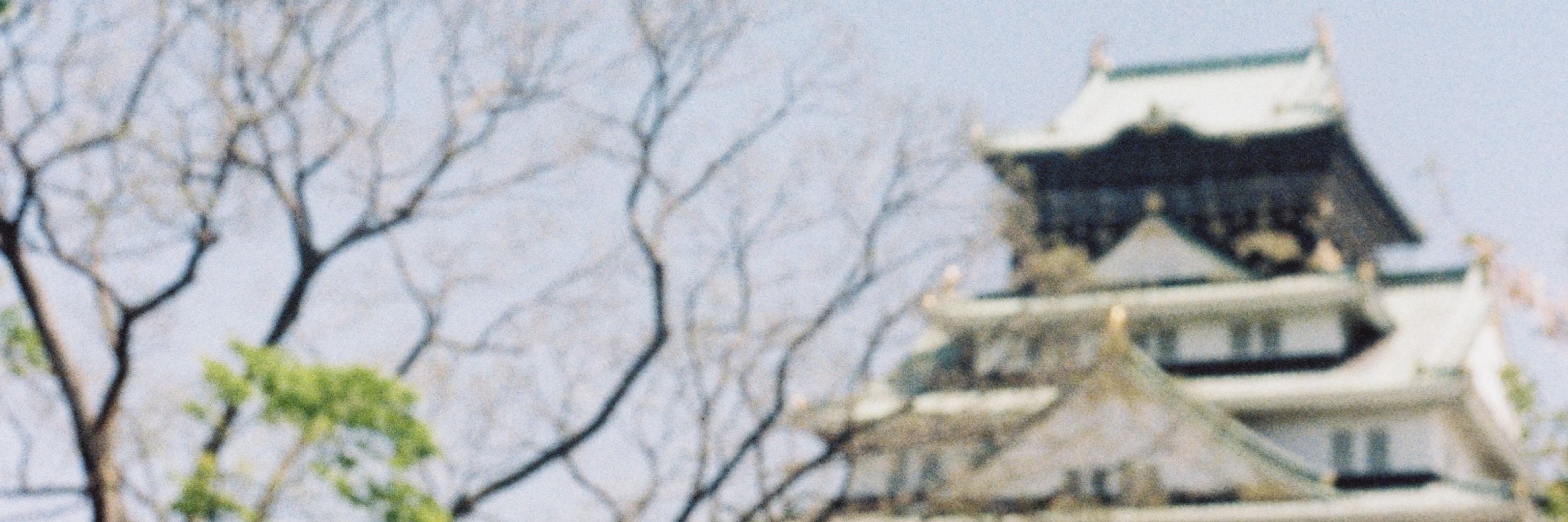 🧅 오사키 대파 ૮ ・ﻌ・ა