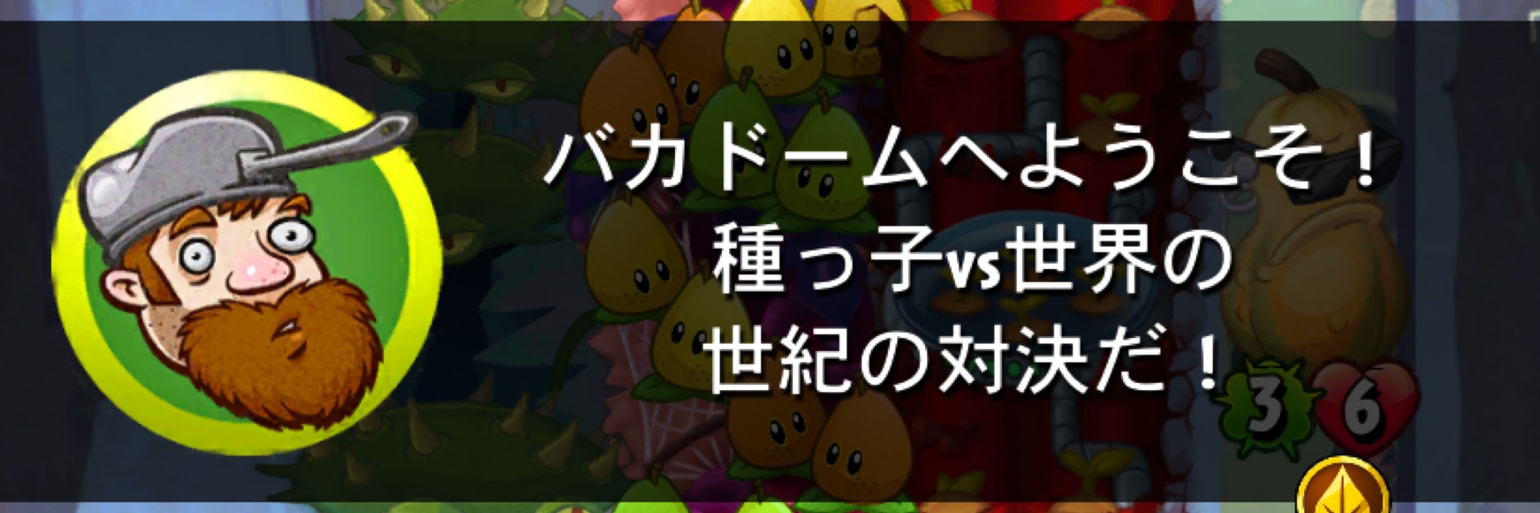 熊損