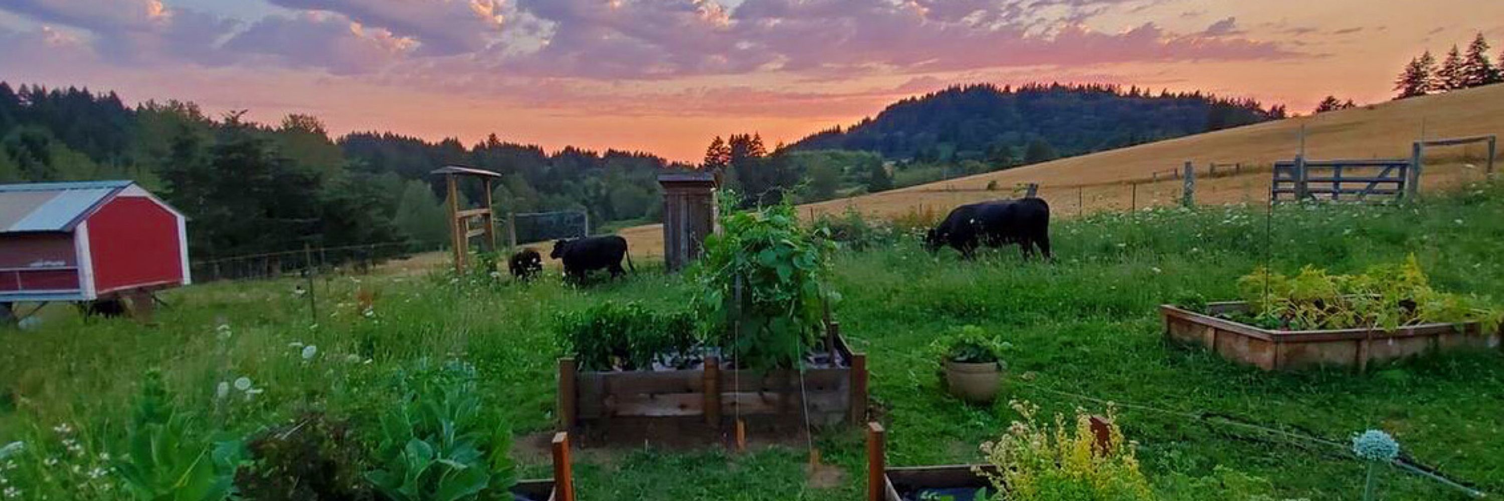 The Fiber Farm