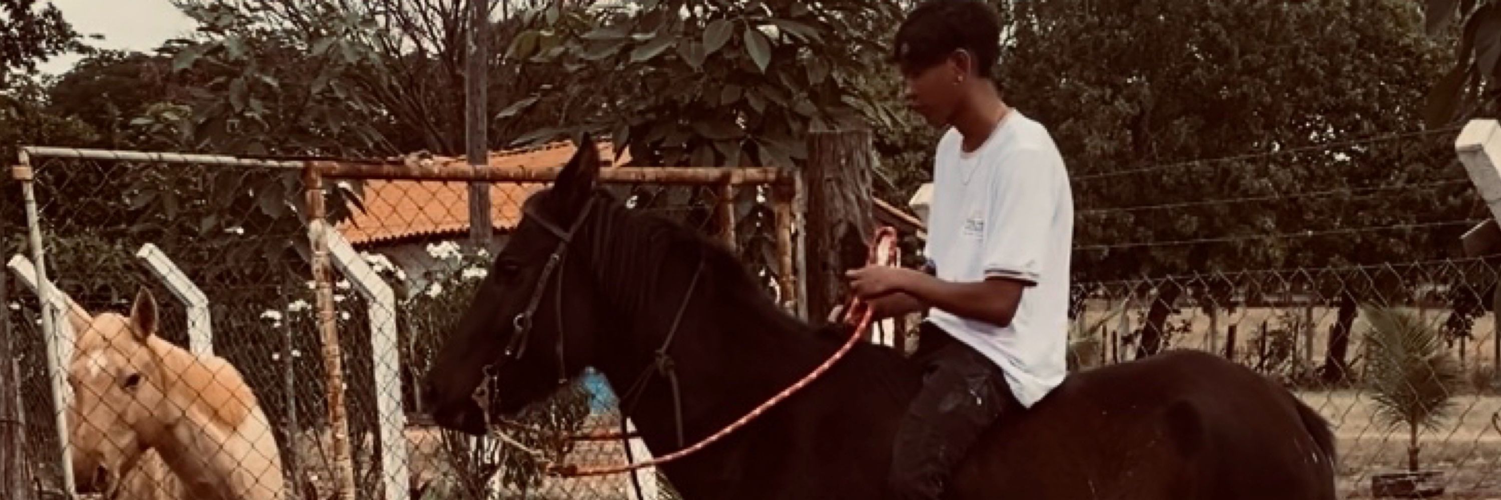 arthur dn