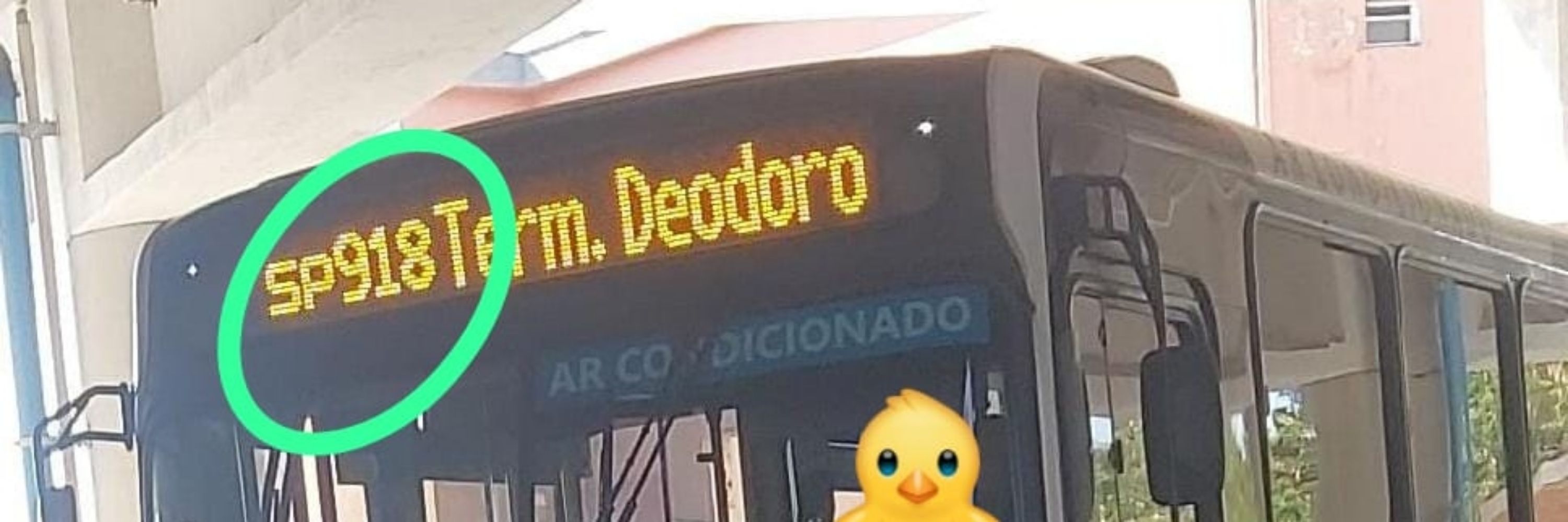 pedrinlindo123