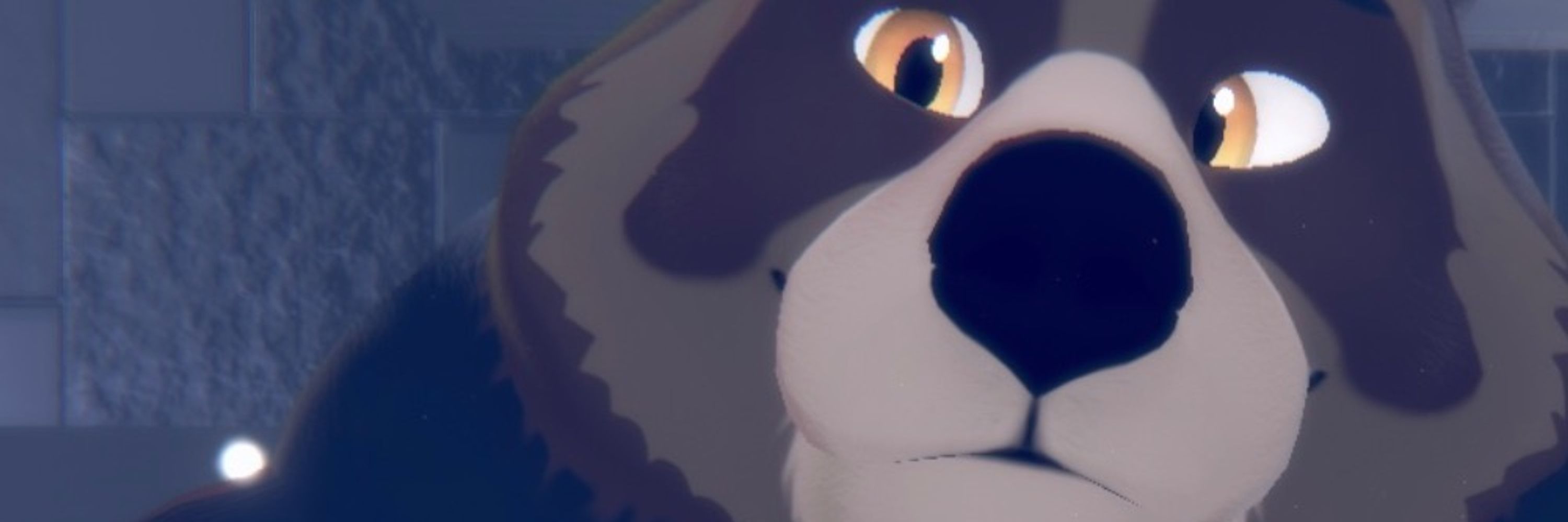 CaliBearKodaAD