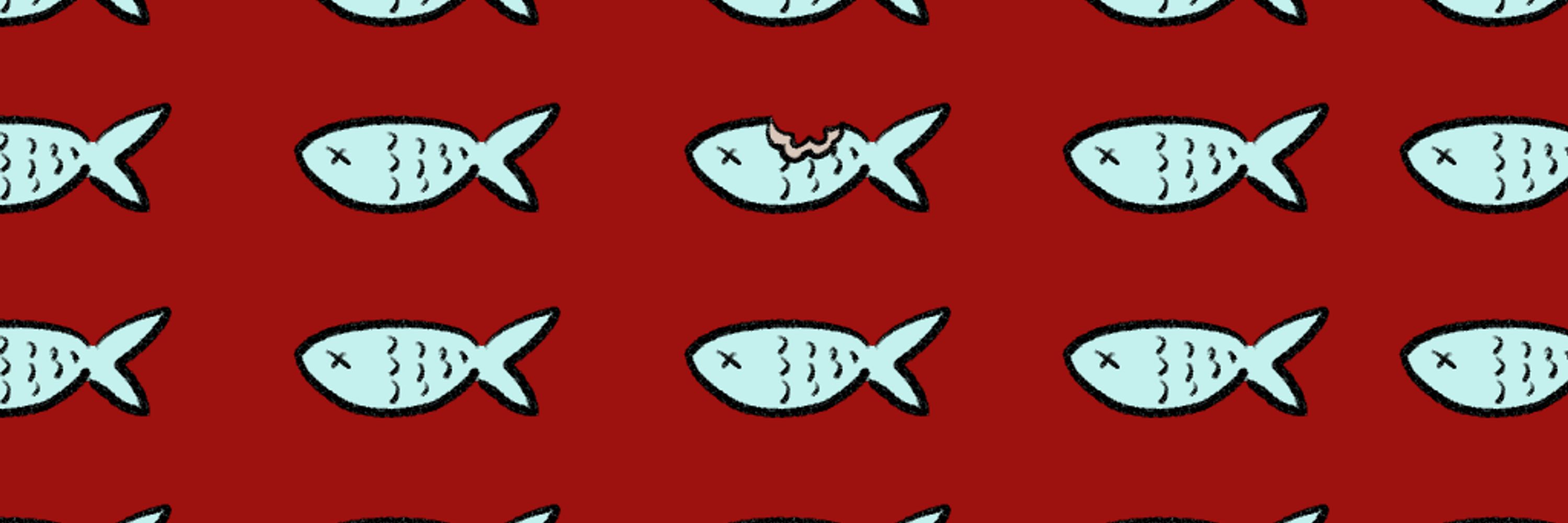 Sopa